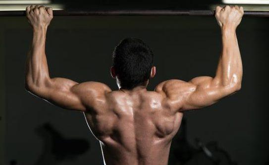 pull-up upper back exercise