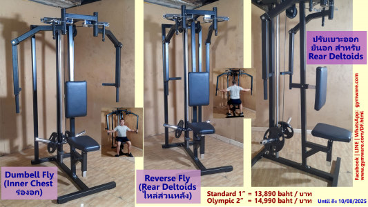 card for Dumbell Fly, plate-loaded 