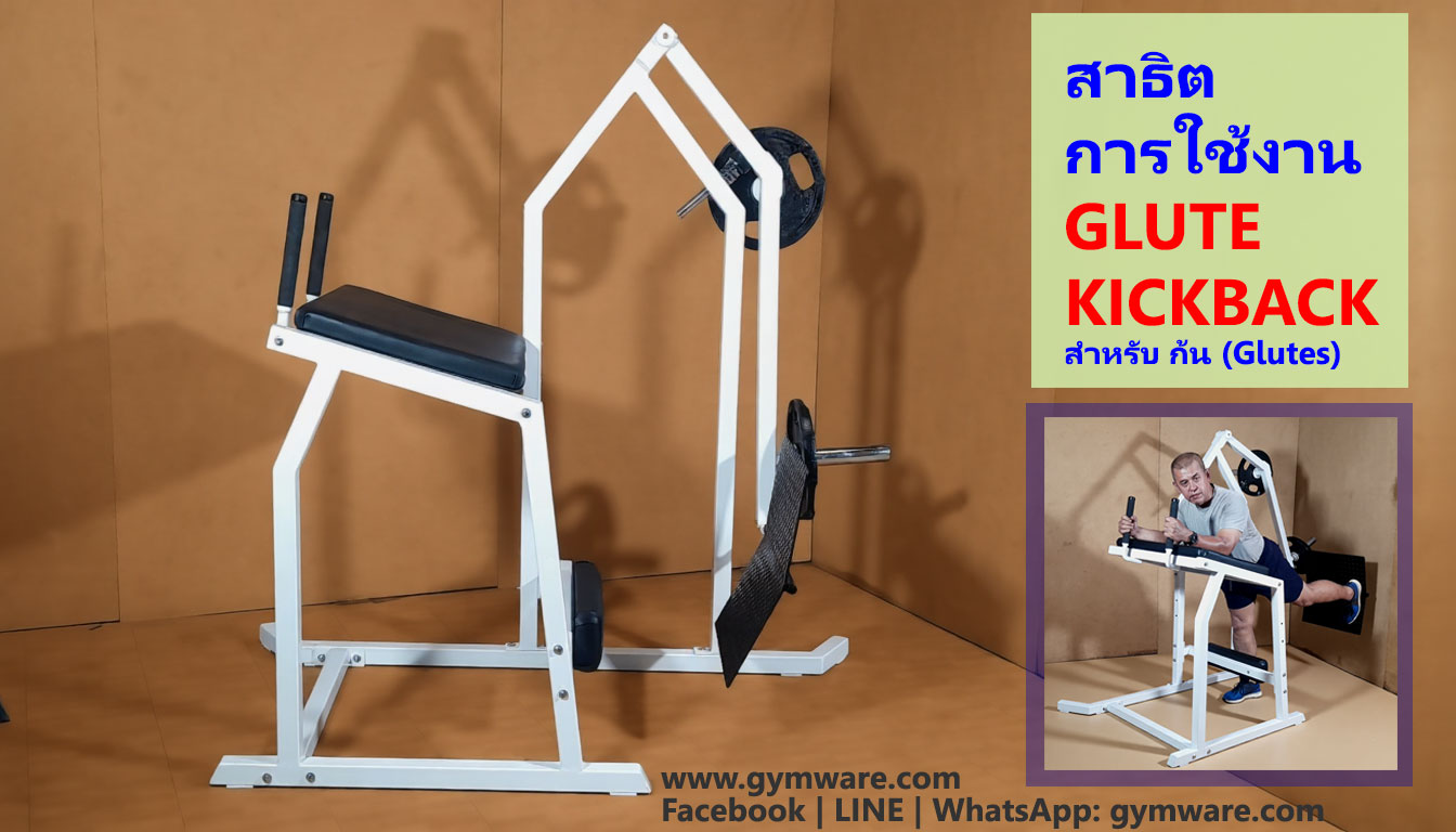 Hip Thrust 