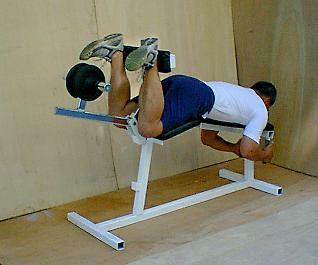 Leg curl 2025 pads