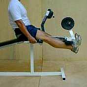 leg extension-leg curl 11