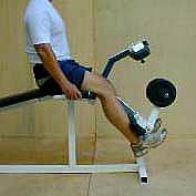 leg extension-leg curl 13