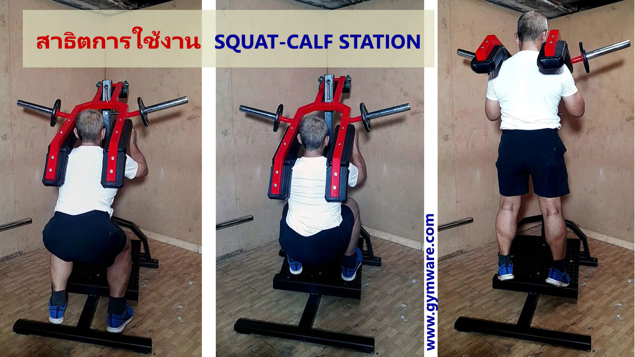 squat-calf station